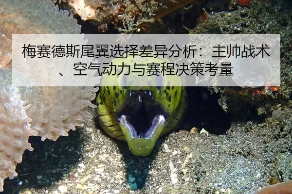 梅赛德斯尾翼选择差异分析：主帅战术、空气动力与赛程决策考量